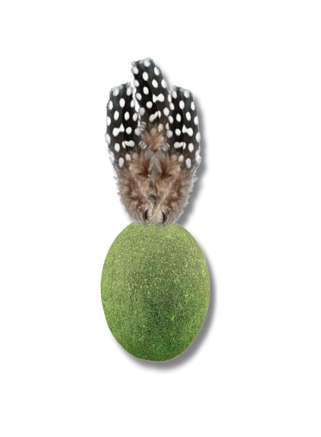 PET FUN لعبة النعناع البري للقطط من بيت فن | لعبة مضغ ولعق على شكل كرة ريشة للقطط | نعناع بري طبيعي | تنظيف الأسنان والتحكم في كرات الشعر (لعبة النعناع البري على شكل كرة ريشة) - Image 1